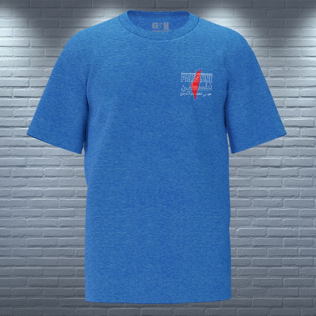 Palestine Strong T-shirt from Genejack for Genejack WOD
