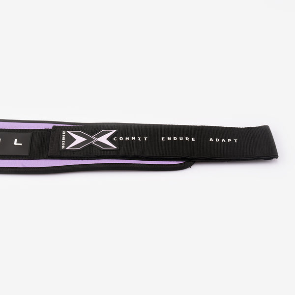 Picsil Weightlifting Belt 2nd Generation