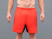 Spring Fever Essential Shorts from 2POOD for Genejack WOD
