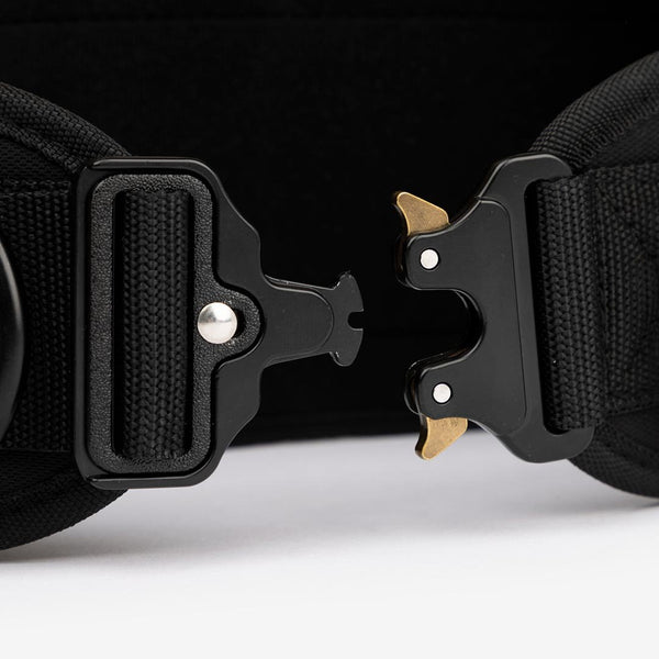 Dips Belt 2.0 from Picsil for Genejack WOD